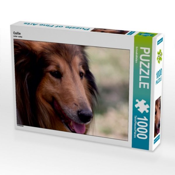 Collie (Puzzle): Hundeportrait