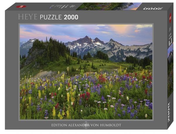 Tatoosh Mountains Puzzle