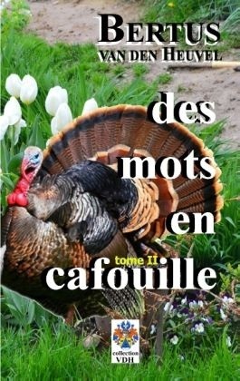 Des mots en cafouille II: histoires courtes
