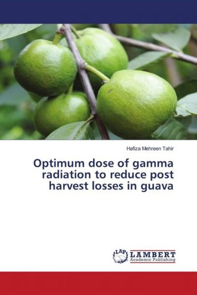 Optimum dose of gamma radiation to reduce post harvest losses in guava