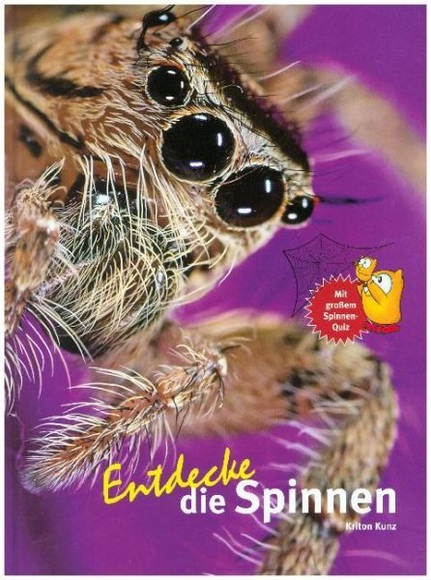 Entdecke die Spinnen