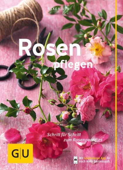 Rosen pflegen