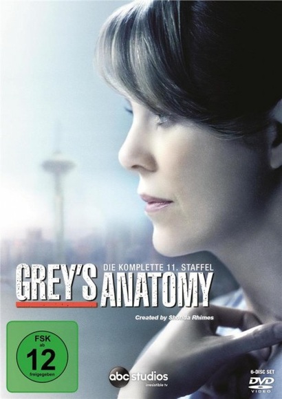 Grey's Anatomy, Die jungen Ärzte. Staffel.11, 6 DVDs