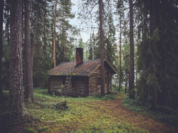 Hütte im Wald - 1.000 Teile (Puzzle)