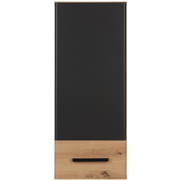 Hängeschrank in Grau/Eichefarben