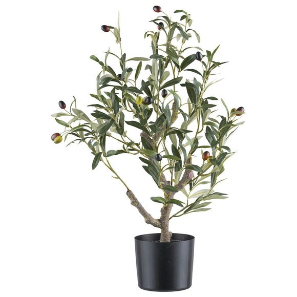 Dekobaum Olivenbaum I Grün/Naturfarben