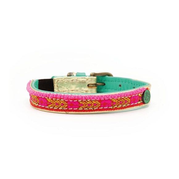 Dog with a mission Roxy Katzenhalsband