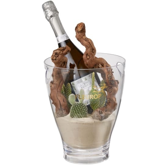 Wüstentraum: Prosecco Albino Armani DOC (75 cl) inkl. Eiskühler