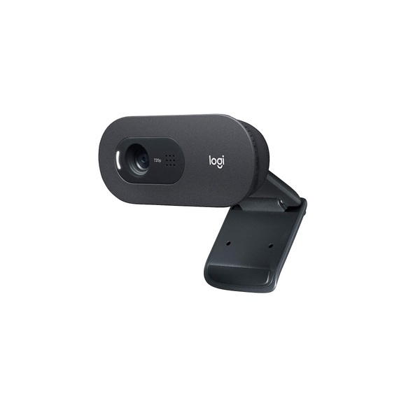 Logitech C505 HD Webcam