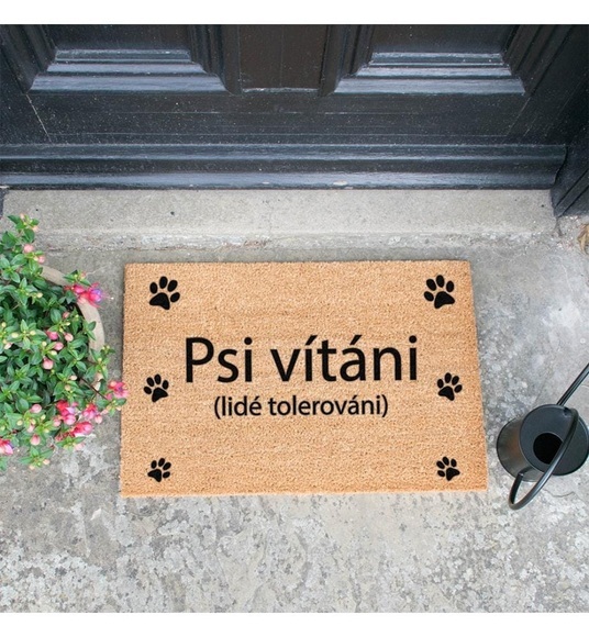 Home - Fussmatte Psi Vitani - 60 x 40 x 1.5 cm - Camel