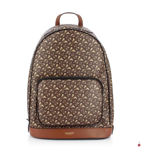 Burberry - Leder-Rucksack - Dunkelbraun und Hellbraun