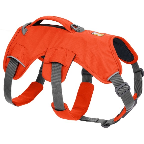 Ruffwear Web Master? Geschirr - Blaze Orange -