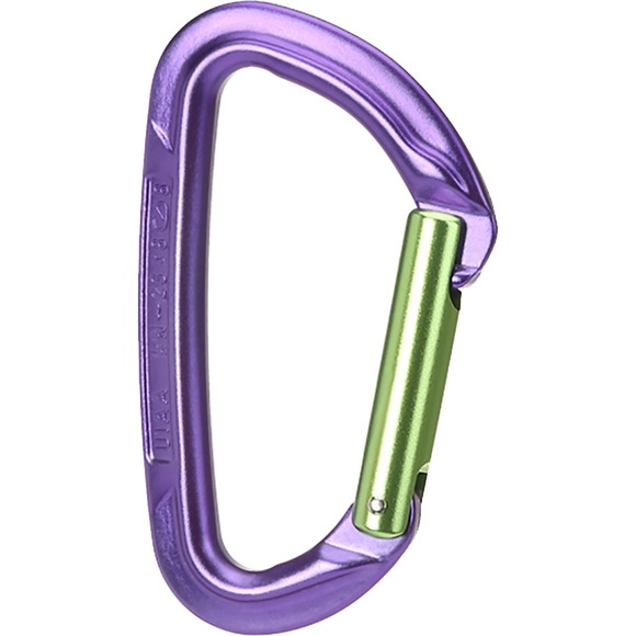 Wild Country Session Straight Karabiner