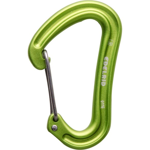 Edelrid Nineteen G Karabiner (Grün)