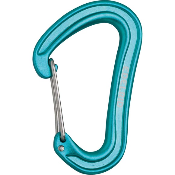 Edelrid Nineteen G Karabiner (Türkis)