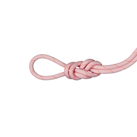 Mammut Besonders abriebfestes Kletterseil für Hallen 9.9 Gym Workhorse Classic Rope rot