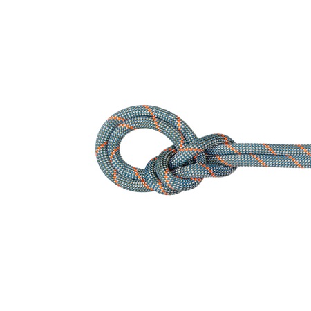 Mammut Seil für intensive Nutzung am Fels 9.9 Crag Workhorse Classic Rope grün