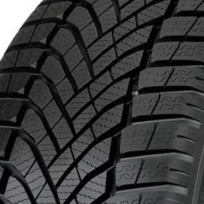 Falken EUROWINTER HS02 (195/65 R15 91T)