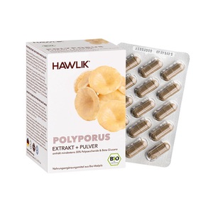 Hawlik, Hawlik Polyporus Extrakt + Pulver Kapsel (120 Stück), HAWLIK Polyporus Extrakt + Pulver Kapseln (120 Stk)