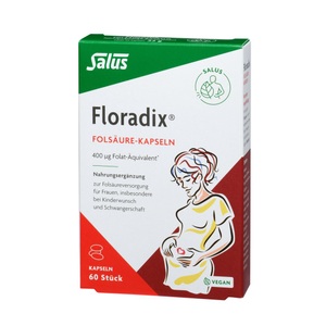 Floradix, Floradix Folsäure Kapsel (60 Stück), Floradix Folsäure Kapseln (60 Stk)