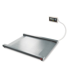 ADE, ADE Durchfahrwaage DFWLI, integrierte Auffahrrampe, Wägebereich max. 600 kg, ADE Durchfahrwaage DFWLI, integrierte Auffahrrampe, Wägebereich max. 600 kg