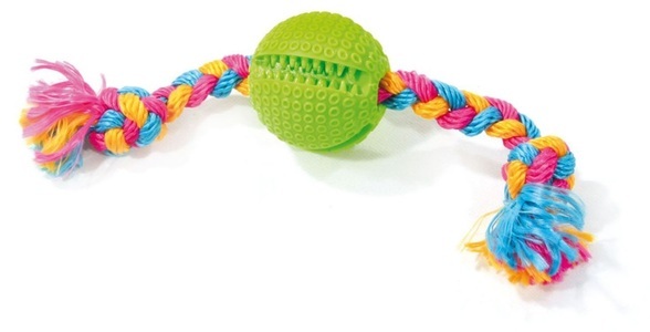 swisspet, swisspet Whoopi-Bone mit Dentalball Hunde Spielzeug, Swisspet Whoopi-Bone mit Dentalball (1 Stk)