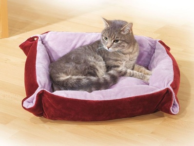 swisspet, SwissPet Soft Katzenbett Pfote rot/pink 60x50cm, Swisspet Soft Katzenbett Pfote dunkelrot (1 Stk)
