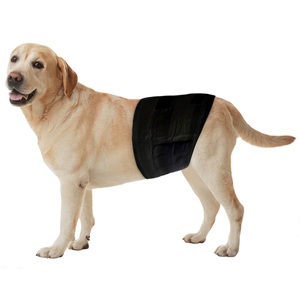 Freezack, Freezack Einweg-Windeln für Rüden S, Freezack Einweg-Windeln für Rüden, Bauchumfang 30-46cm (1x12 Stk)