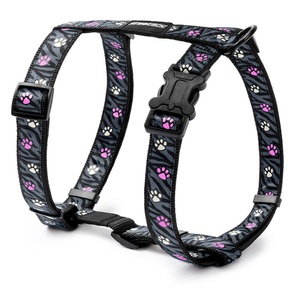 Freezack, Freezack Asti Glow bone Geschirr 45-75cm, Freezack Asti Glow bone Geschirr 45-75cm