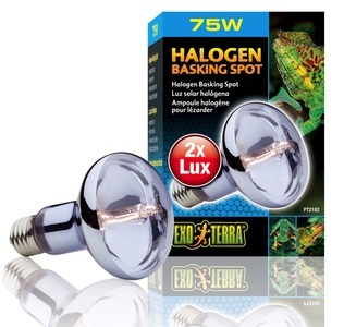 Exo Terra, Exo Terra Halogen Basking Spot 75W, Exo Terra Halogen Basking Spot energieeffiziente Breitspektrum-Glühbirne 75W (1 Stk)