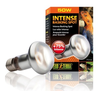 Exo Terra, Exo Terra Intense Basking Spot S20/50W, Exo Terra Intense Basking Spot Wärmespotlampe 50W (1 Stk)