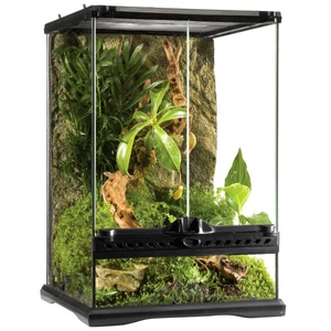 Exo Terra, Exo Terra Glas Terrarium 30x30x45cm, Exo Terra Glas Terrarium 34.2×34.2×48.5cm (1 Stk)