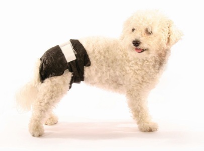 swisspet, Einwegwindeln Doggy Pamys Gr. S, Swisspet Einwegwindeln Doggy Pamys Grösse S, 4-7kg (14 Stk)
