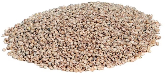 Sissel, SISSEL Panicore Nachfüllung Hirsespreu (15 lt), Sissel Nachfüllung Hirsepreu Panicore (15 Liter)