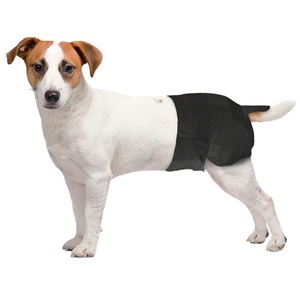 Freezack, Freezack Einweg-Windeln für Hündinnen S 12Stk., Freezack Einweg-Windeln für Hündinnen, Bauchumfang 28-40cm (1x12 Stk)