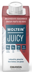 Moltein, MOLTEIN Juicy Apfel (4x200 ml), Moltein Juicy Apfel (4x200ml)
