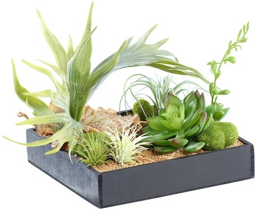 Carlo Milano, Carlo Milano Vertikaler Wandgarten Lena mit Deko-Pflanzen, 20 x 20 cm, Vertikaler Wandgarten Lena mit Deko-Pflanzen, 20 x 20 cm