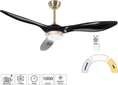 Sichler Haushaltsgeräte, Sichler Haushaltsgeräte 2in1-Deckenventilator & LED-Lampe, 1000 lm, Timer, bürstenloser Motor, 2in1-Deckenventilator & LED-Lampe, 1000 lm, Timer, bürstenloser Motor