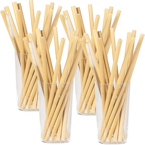 Rosenstein & Söhne, Rosenstein & Söhne 48 Bambus-Trinkhalme 220 mm, wiederverwendbar, mit Reinigungsbürste, 48 Bambus-Trinkhalme 220 mm, wiederverwendbar, mit Reinigungsbürste