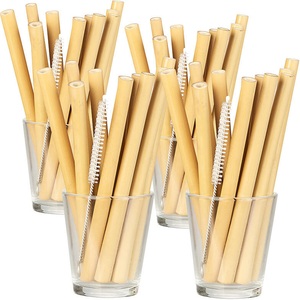 Rosenstein & Söhne, Rosenstein & Söhne 48 Bambus-Trinkhalme 130 mm, wiederverwendbar, mit Reinigungsbürste, 48 Bambus-Trinkhalme 130 mm, wiederverwendbar, mit Reinigungsbürste