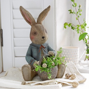 LOBERON, LOBERON Hase Auvergne, LOBERON Hase Auvergne