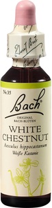 Nelsons GmbH, Nelsons GmbH Bach®-Blüte White Chestnut (Weiße Kastanie), BACH®-BLÜTE WHITE CHESTNUT (Weiße Kastanie)