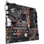 GIGABYTE, B365 M AORUS ELITE, Mainboard, 