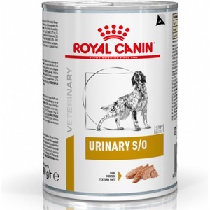 Royal 2024 canin lp