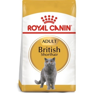 British shorthair best sale dry food