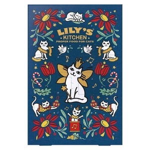 Lilys Kitchen Christmas Cat Advent