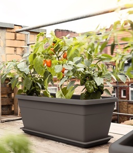 undefined, EMSA® 'My City Garden' Pflanztrog granit 60x30x26 cm, 