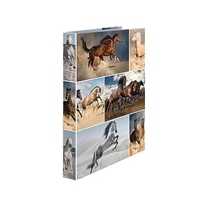 HERMA, HERMA Ringbuch A4 Karton 19429 2D Pferde, HERMA Ringbuch A4 Karton 19429 2D Pferde