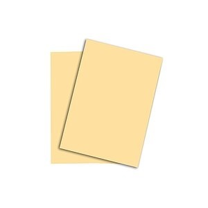 Papyrus, PAPYRUS Rainbow Papier FSC A3 88042281 120g, chamois 250 Blatt