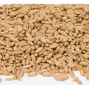undefined, Dinkelkerne,1000 g, Dinkelkerne,1000 g